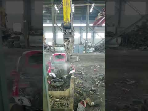 The Battery Companion